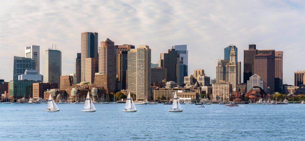 City skyline overlooking water with multiple sailboats