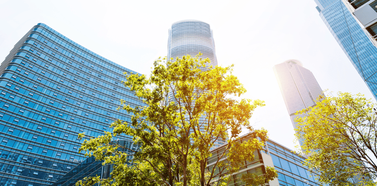 green tree before modern buildings evoking Corporate Sustainability Program