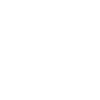 Managed Mobility Services